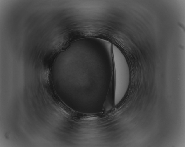 X0000092300219200710051226