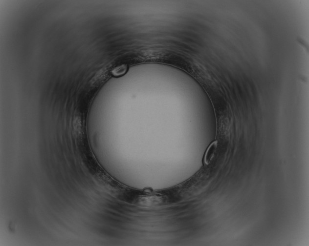 X0000092300220200710051226