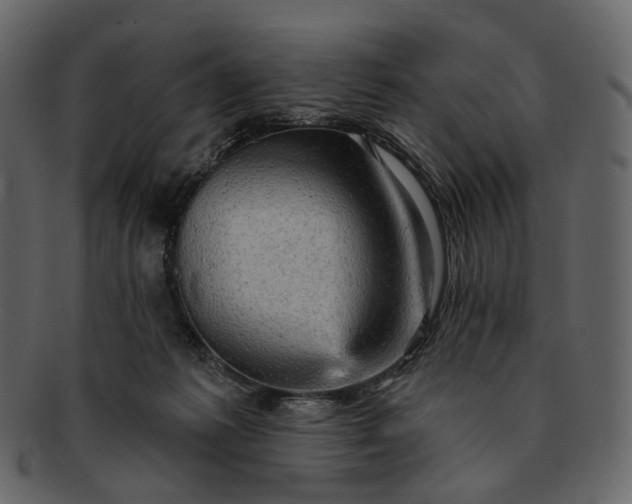 X0000092300221200710051226