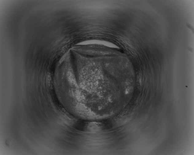 X0000092300222200710051226