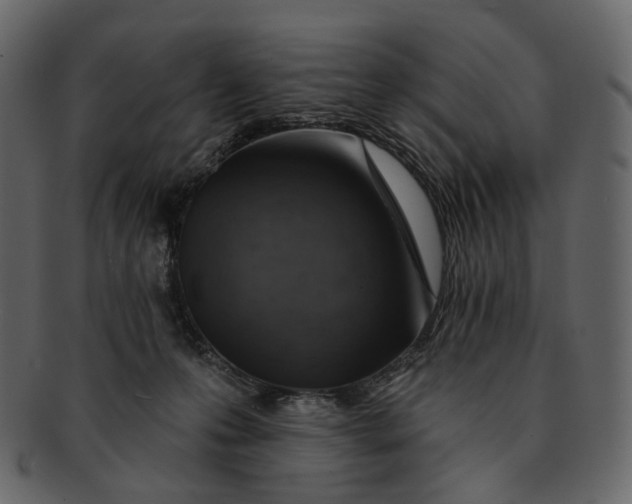 X0000092300223200710051226