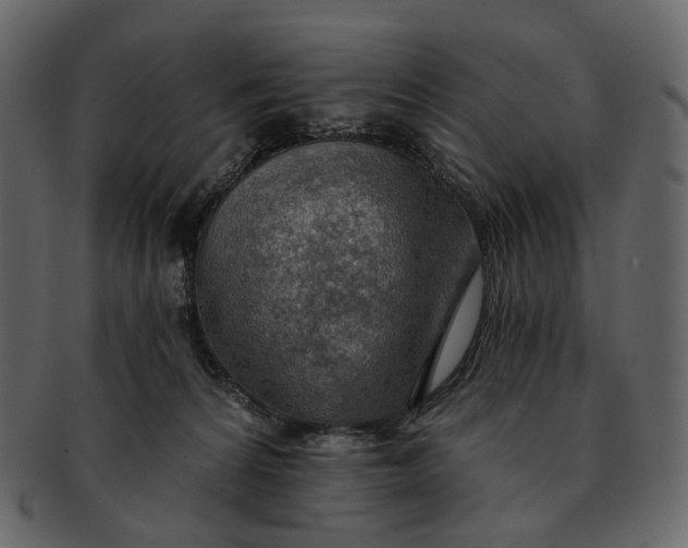 X0000092300224200710051226