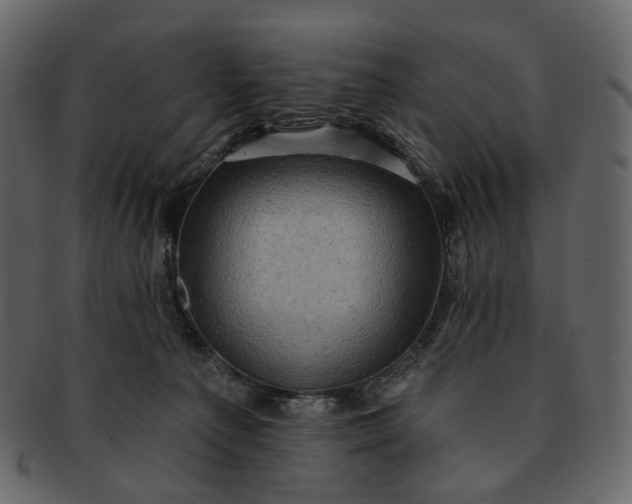 X0000092300225200710051226