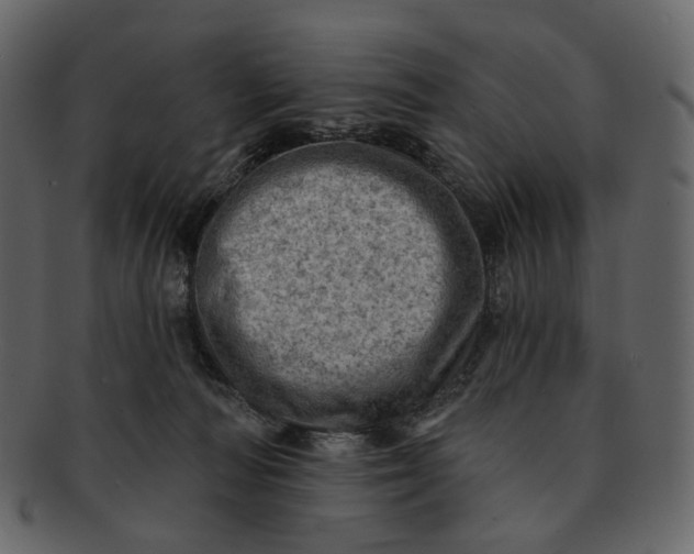 X0000092300226200710051226