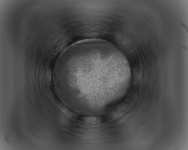 X0000092300230200710051226