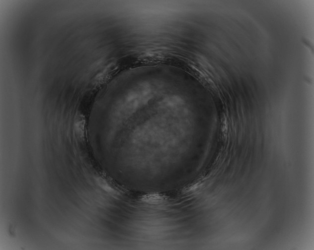 X0000092300231200710051226