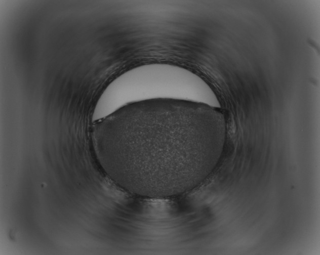 X0000092300233200710051226