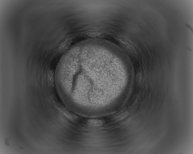 X0000092300234200710051226