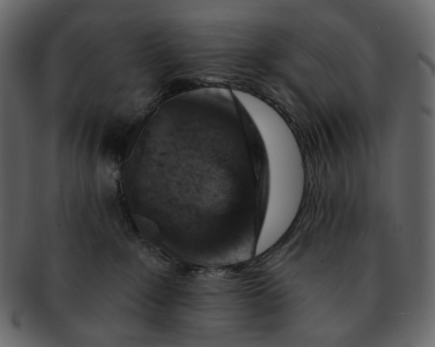 X0000092300235200710051226