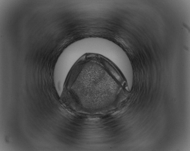 X0000092300237200710051226