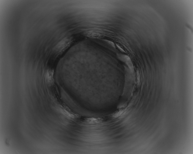 X0000092300239200710051226