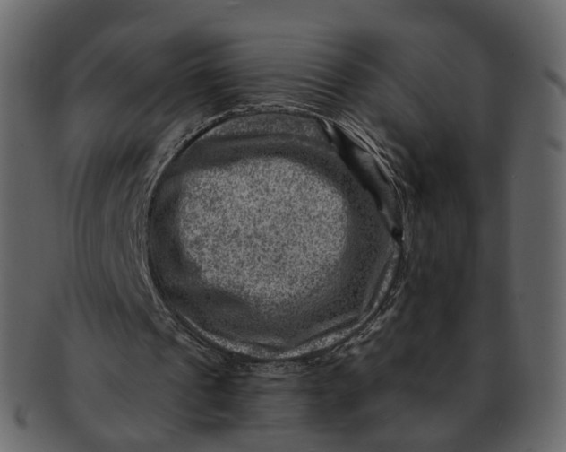 X0000092300241200710051225