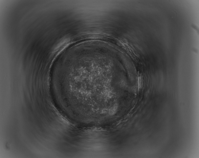 X0000092300243200710051225