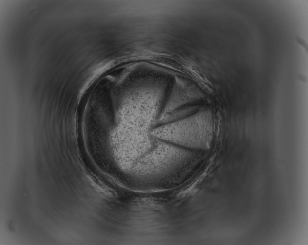 X0000092300244200710051225