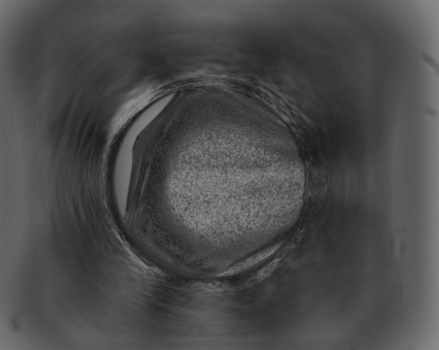 X0000092300245200710051225