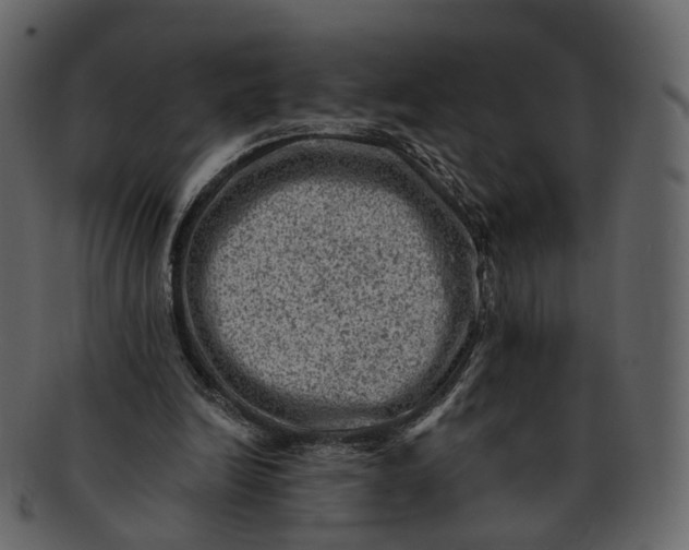 X0000092300246200710051225