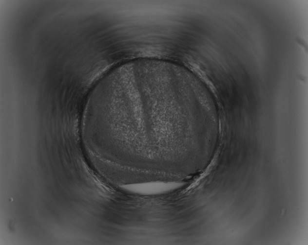 X0000092300249200710051225