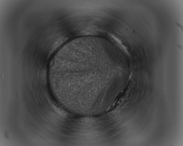 X0000092300250200710051225