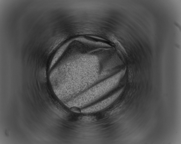 X0000092300251200710051225