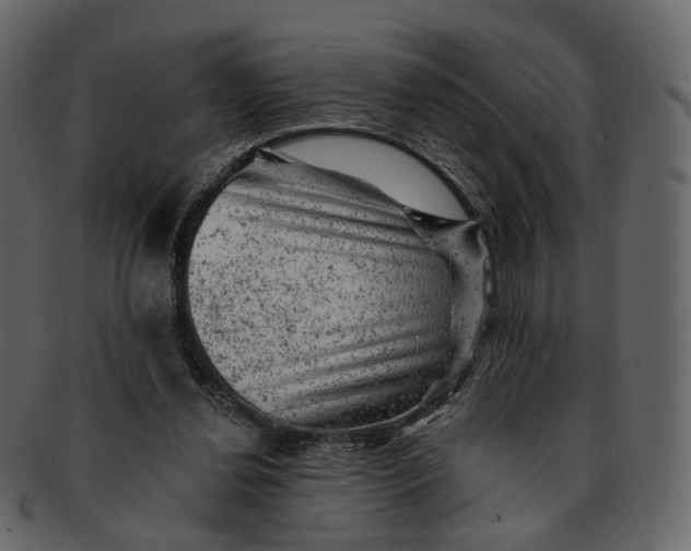 X0000092300252200710051225