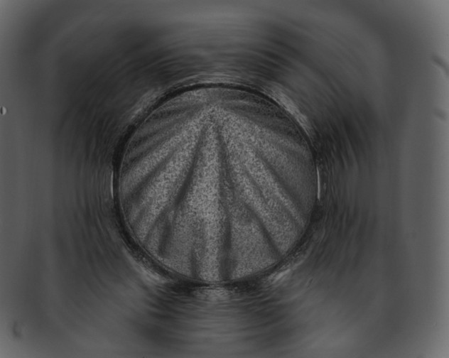 X0000092300253200710051225