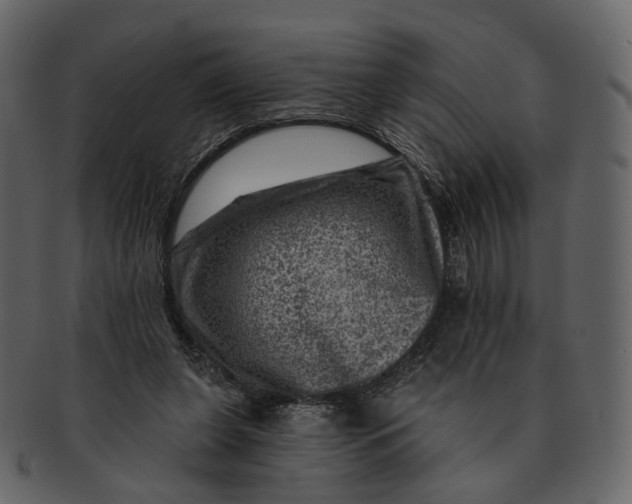 X0000092300255200710051225