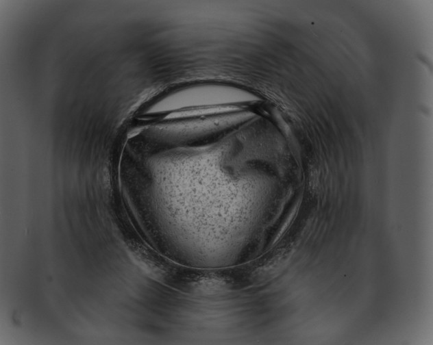 X0000092300256200710051225