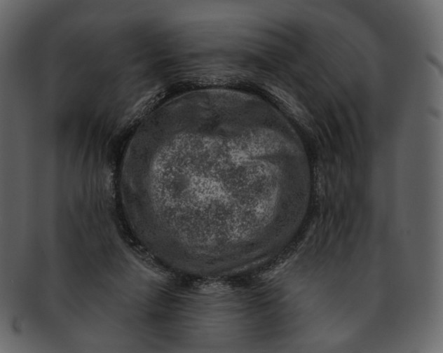 X0000092300258200710051225