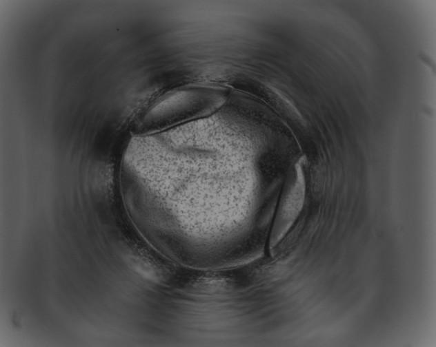 X0000092300260200710051225