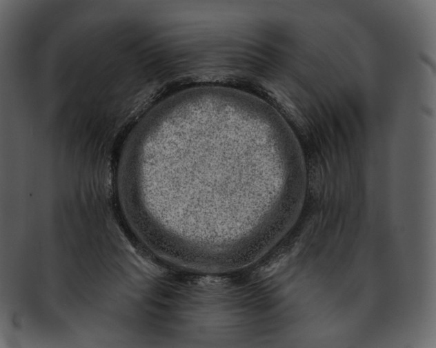 X0000092300261200710051225