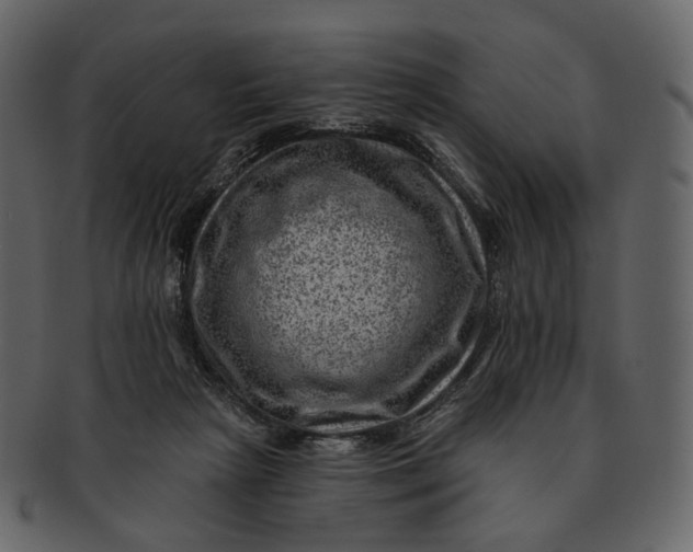 X0000092300265200710051225