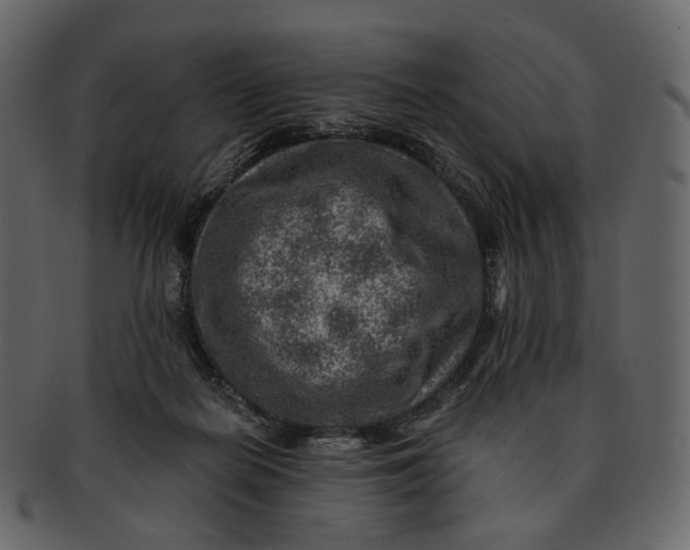 X0000092300266200710051225