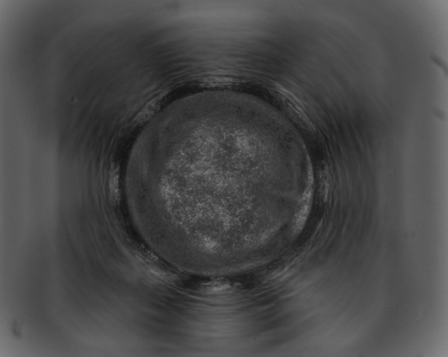 X0000092300267200710051225