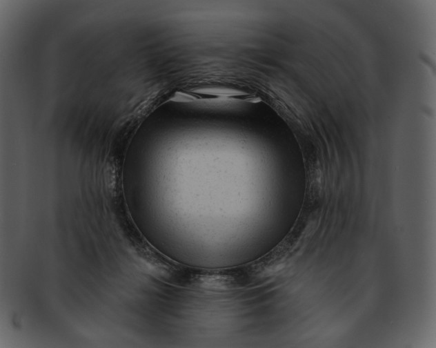 X0000092300268200710051225