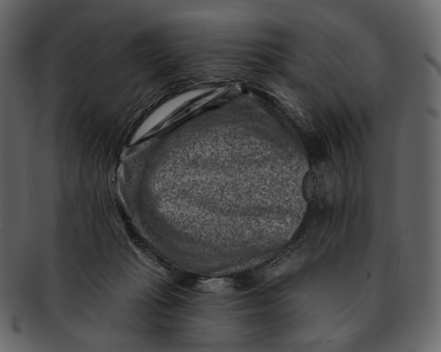 X0000092300269200710051225