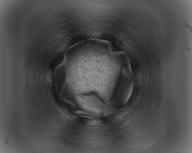 X0000092300274200710051226