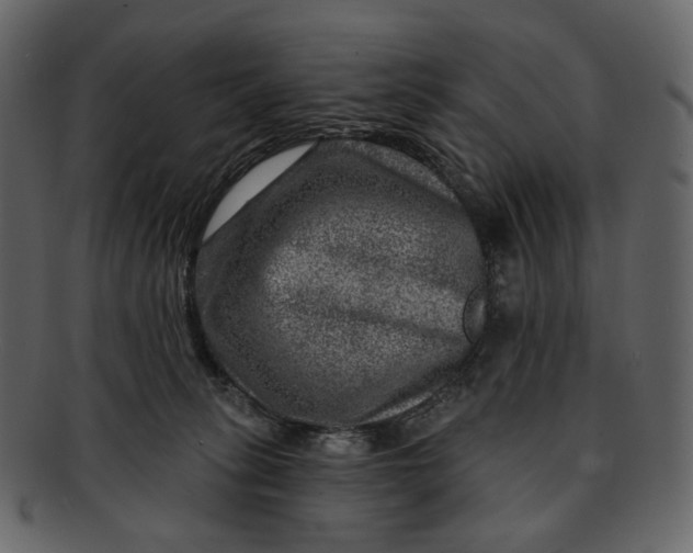 X0000092300275200710051226