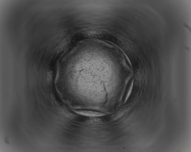 X0000092300278200710051226