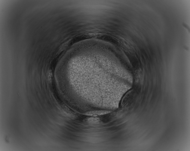 X0000092300279200710051226