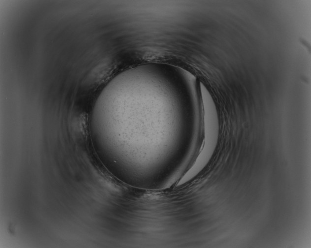 X0000092300280200710051226