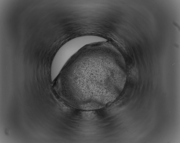 X0000092300281200710051226