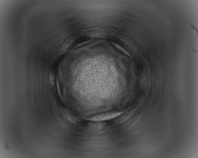 X0000092300282200710051226