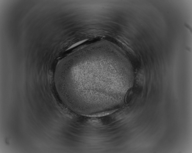 X0000092300283200710051226