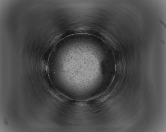 X0000092300284200710051226