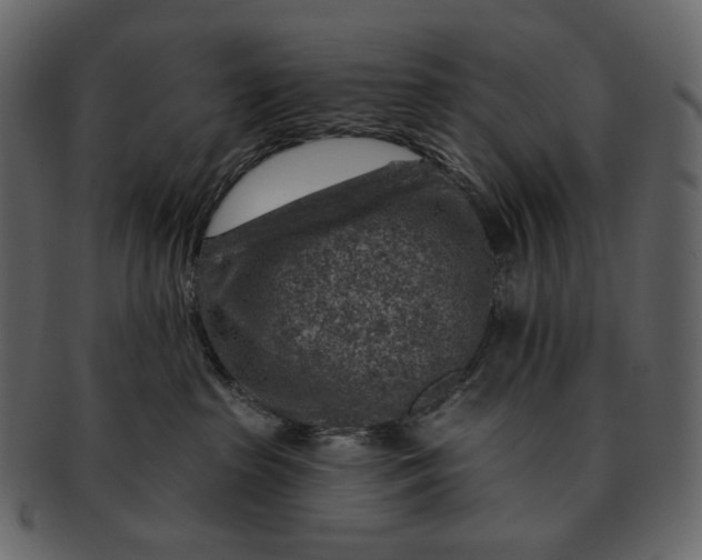 X0000092300285200710051226