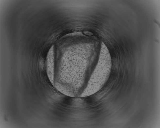 X0000092300287200710051226