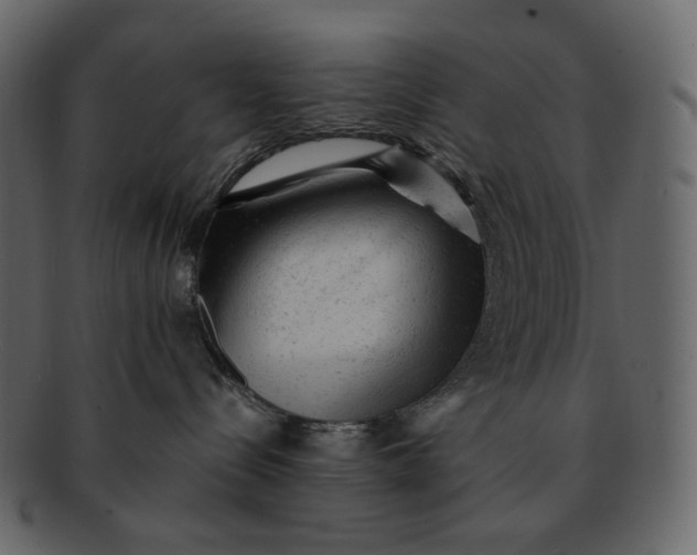 X0000092300288200710051226