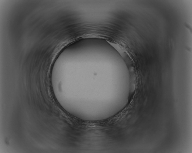 X0000092300289200710051225