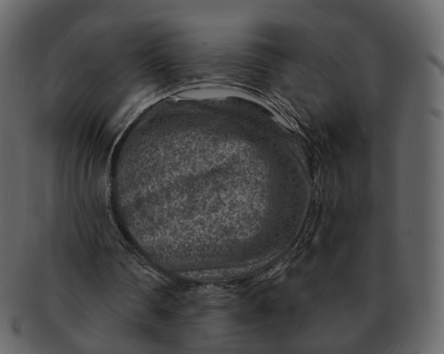 X0000092300290200710051225