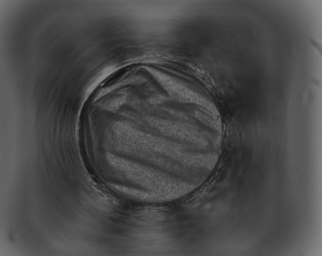 X0000092300292200710051225